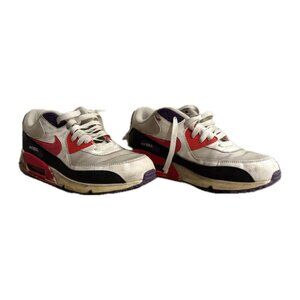 (US M 10.5) Nike Men's Air Max 90 Essential Raptors